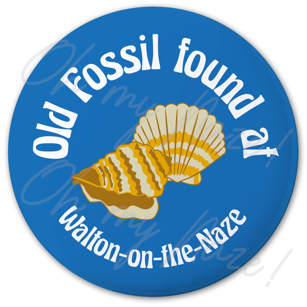 Old Fossil fridge magnet